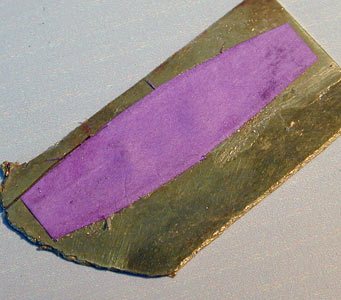 Panel19 jpg